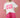 T-shirt La Vie en Rose White