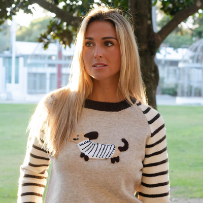 Camisola Dachshund